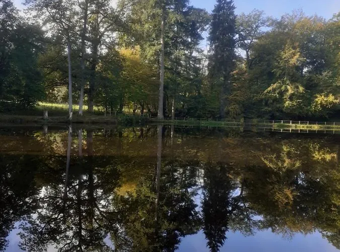 54 Av Rogers Martin Du Gard * בלם